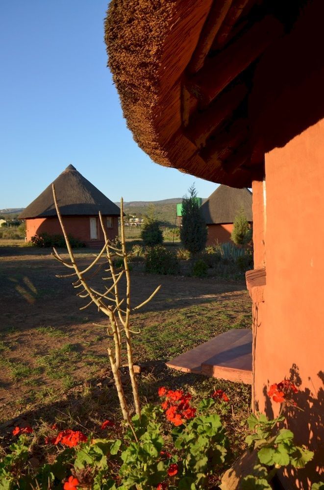 Bama Lodge Rietfontein Exteriér fotografie